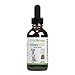 Pet Wellbeing Urinary Gold for Dogs - Supports Urinary Tract Health, Normal Frequency, Healthy Immune Response, Stoneroot, Hydrangea - Vet-Formulated Herbal Supplement 4 fl oz (118 ml)