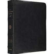 ESV MacArthur