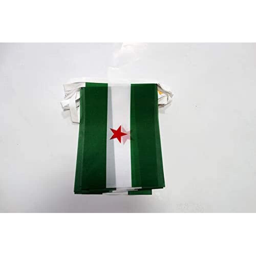AZ FLAG Andalusia Independentist Bunting Flag, 20 Ft Garland 20 Small Andalucia Arbonaida Flags 8'' x 6'', 100% Polyester String Pennant, 6 meters