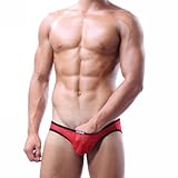 Dominik Sheer Mesh See-through Boxer Briefs, Mens, Red (USA4095)