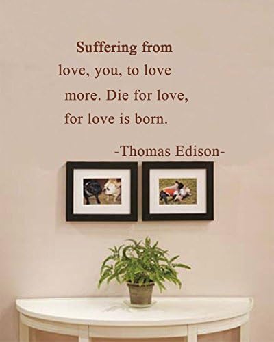 Suffering from love, you, to love more. Die for love, for love is born. Removable PVC Wall Sticker Words Sign Quote 20x24 inches