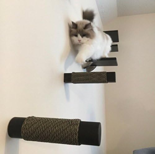 Contempo Floating Cat Post Step (1pc) by Purrfectly Catastic | Handcrafted solid hardwood climbing posts | Space saving wall mounted cat furniture | Choice of shape and wood finish
