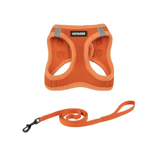 Voyager Step-in Air Cat Leash Harness Set - All Weather Mesh, Step in Vest Harness for Small and Large Cats by Best Pet Supplies - Orange, XXXS (Chest 11-12)