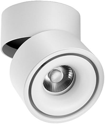 iPHD Cob Led Ceiling Spot Light 12W, 360° Rotation Surface Mounted Led Downlight for Shop, Corridor, Showing Room, 85V-265V Input Voltage, Warm White 3000K, 1pc/Pack (White)
