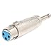 XLR 3-pin Female To 1/4