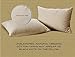 AllerEase Organic Cotton Pillow Protector, Standard/Queen, 1 Pack