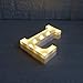 DELICORE LED Marquee Letter Lights Alphabet Light Up Sign for Wedding Home Party Bar Decoration L