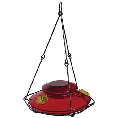 Amazon Com Nature S Way Bird Products Mhf1 Modern Hummingbird