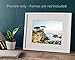 California Coastal Wall Art, Lone Cypress Tree Picture - 5x7, 8x10 Print (not framed), ‘Lone Cypress’