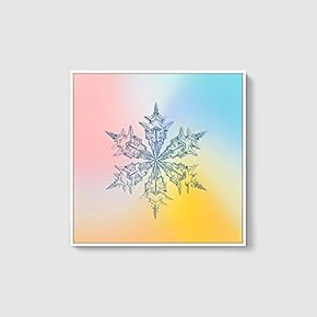 Framed Canvas Wall Art for Living Room, Bedroom Snowflake Theme Canvas Prints for Home Decoration Ready to Hang - 16x16 inches