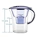Water Filter Pitcher Alkaline Filtration - 2.5L Improve PH, BPA Free, 10 Cup Large Size Fast Flow with 2 Filters by Hskyhan