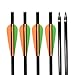 SHENG-RUI Crossbow Bolts Arrows 14