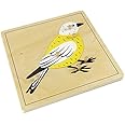 Elite Montessori Bird Puzzle