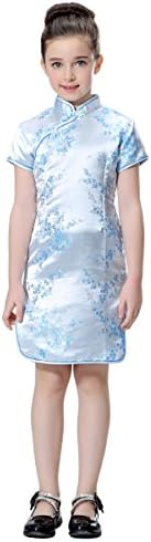 BitablueGirls Wintersweet Blossom Chinese Qipao Dress