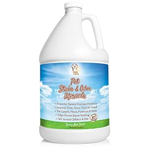 1. Sunny & Honey – Pet Stain & Odor Cleaner, 1 Gallon