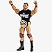 WWE Survivor Series Bobby Roode Elite Collection Action Figure
