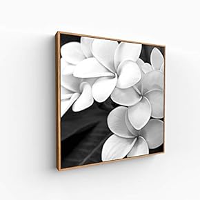 Canvas Wall Art for Living Room, Bedroom Monochrome Image Framed Canvas Prints for Home Decoration Ready to Hang - 16x16 inches