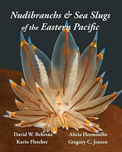 インド太平洋のウミウシ　ガイドブック　Nudibranchs　洋書 Amazon.com: Nudibranch & Sea Slug Identification - Indo-Pacific