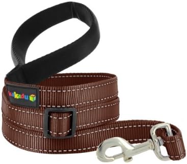 Empire Tracks Extendible Lead, Long Nylon Leash by Kakadu Pet, Large, 1" x 4-6ft, Earth (Brown with Blue Stitch)