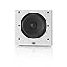 JBL Sub 100 White 10-Inch Powered Subwoofer with High-Efficiency Class D Amplifier (White)