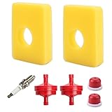 Hayskill 799579 5434 4248 Air Filter & Fuel Filter Spark Plug Primer Bulb for Briggs & Stratton 08P502 09P602 09P702 300E 450E 500E Series Engine