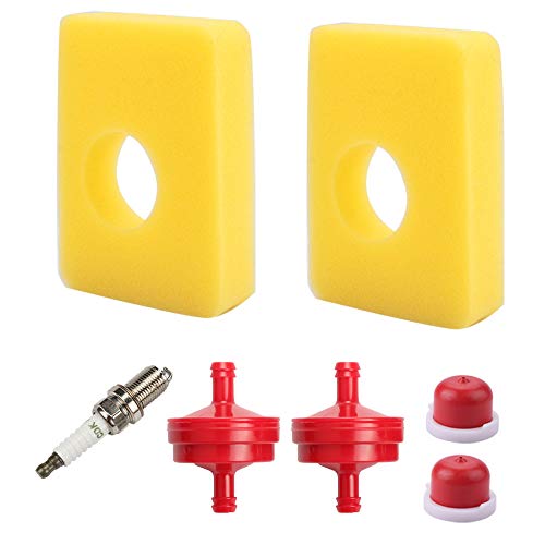 Hayskill 799579 5434 4248 Air Filter & Fuel Filter Spark Plug Primer Bulb for Briggs & Stratton 08P502 09P602 09P702 300E 450E 500E Series Engine