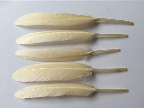 WAKEACEGoose Feathers 100Pieces 4-6 Inch 10-15CM DIY Headdress Costume Design