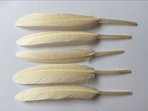 WAKEACE Goose Feathers 100Pieces 4-6 inch  10-15CM DIY Headdress Costume Design