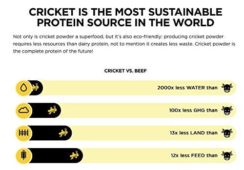 image for Näak Cricket High Protein Bars - 20 Grams Complete Protein, 6 Grams S