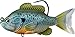 Live Target LiveTarget SFS110MS551 Sunfish -, Multicolor