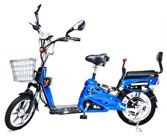 two seater e bike