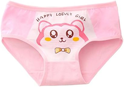 Lovely Cartoon Underwear Cotton Briefs Panties For Little Girls Set Of 4 No 007 Amazon Com Au Baby