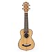 Donner Zebrawood Ukulele Soprano DUS-2 21 inch Ukulele Kit with Case Tuner Strap Nylon String