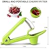 MEETOZ-Cherry-Pitter-RemoverCherry-Fruit-Kitchen-Olive-Core-Remove-Pit-Tool-Seed-Gadget-Stoner-Corer-Pitter-RemoverPortable-Cherry-Pitter-Tool-Kitchen-aid-with-Space-Saving-Lock-Design-Green MEETOZ Cherry Pitter Remover,Cherry Fruit Kitchen Olive Core Remove Pit Tool Seed Gadget Stoner Corer Pitter Remover…
