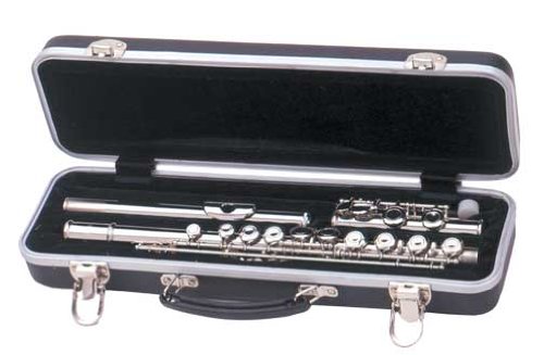 UPC 840246035295, Guardian CW-041-FL Flute Case