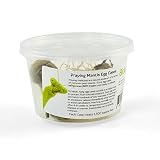 Praying Mantis Egg Cases - 5 Extra Large Cases