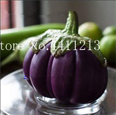 Verduras Kalash Nuevas 200 PC Berenjena orgánica, semillas para ...