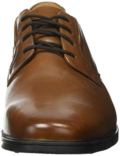 clarks men's oxfords