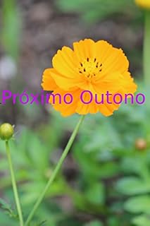 Livro Próximo Outono