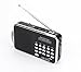 Mfine Portable Mini USB FM Radio Speaker Music Player TF Card For PC iPod Phone (938 Black)