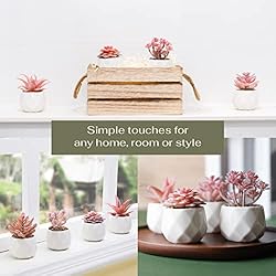 VIVERIE Mini Succulents Plants Artificial in