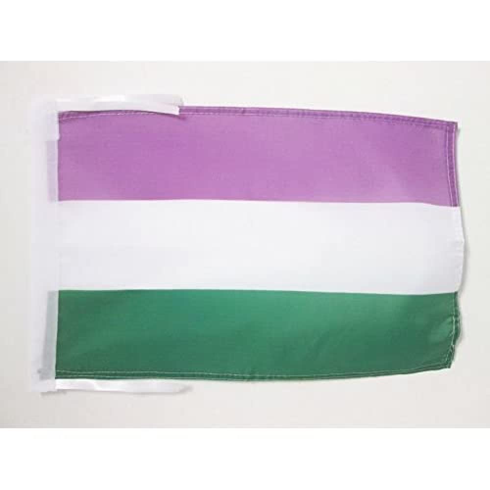 AZ FLAG - Genderqueer Pride Flag - 18'' x 12'' - 100% Polyester rainbow Small Banner with Two Cords - Fade Resistant - Vivid Colors - 18x12 in - 45x30 Cm — image 1