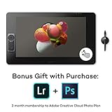 Wacom Cintiq Pro 24 Creative Pen and Touch Display - 4K Graphic Drawing Monitor with 8192 Pen Pressure and 99% Adobe RGB (DTH2420K0)