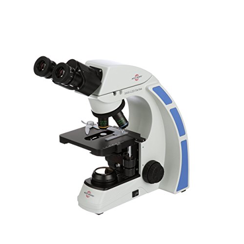 AccuScope 3000LEDSPH Siedentopf Binocular Compound Microscope, WF10x Plan Eyepieces, 40x400x