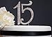 15 Quinceañera Birthday Cake Topper | Premium Bling Crystal Rhinestone Diamond Gems | 15th Birthday or Anniversary Party Decoration Ideas | Quality Metal Alloy | Perfect Keepsake (15 Silver)