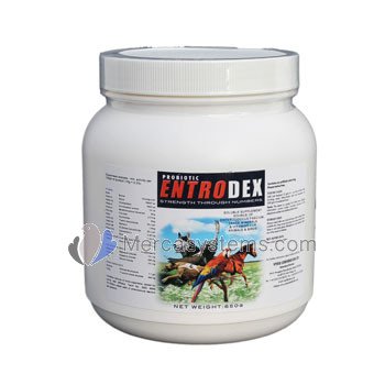 New Entrodex Probiotic 650gr Top Premium Quality Enriched Probiotics Buy Online In Antigua And Barbuda At Antigua Desertcart Com Productid 55980288