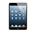 Apple iPad Mini MD528LL/A 16GB WiFi 7.9in, Black (Renewed)