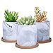 SQOWL 4 inch Marble Ceramic Succulent Planter Pot Indoor Modern Cactus Herb Flower Planters with Bamboo Tray Set of 3