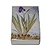 Decorative Mini Bontanical Floral Matchbox Set of 6 Matches for Candle and Fireplace Wood Matchesthumb 1