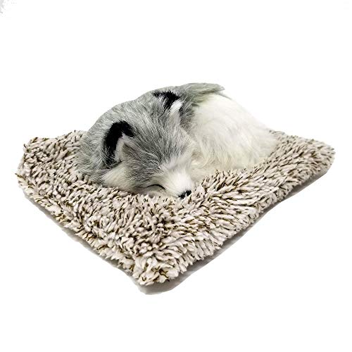 Perfect Petzzz Mini Baby Alaskan Husky Puppy Dog Buy Online in UAE. Toys And Games Products